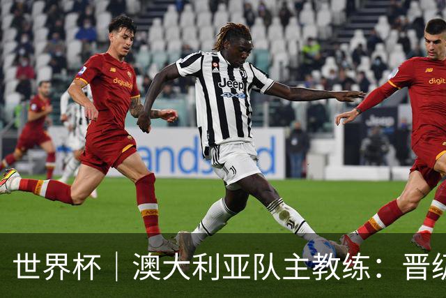 世界杯｜澳大利亚队主教练：晋级淘汰赛是我们应得的