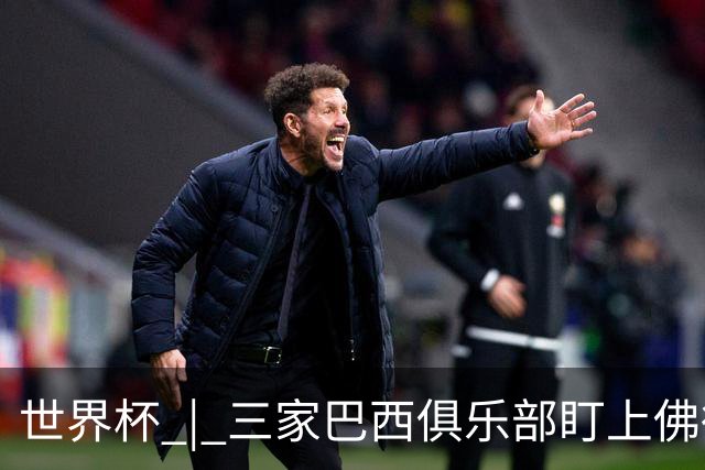 世界杯 | 三家巴西俱乐部盯上佛得角队门将沃津尼亚