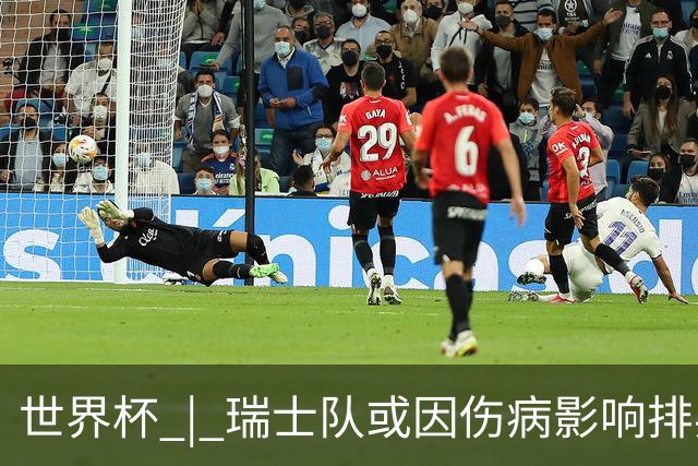 世界杯 | 瑞士队或因伤病影响排兵布阵